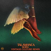 BURNS - Talamanca (Vintage Culture Extended Remix)