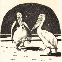 The Platters - The Pelican Chorus