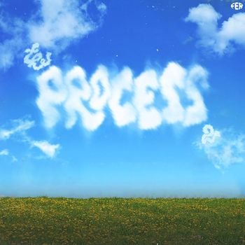Fer - The Process 2