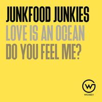Junkfood Junkies - Do You Feel Me? / Love Is an Ocean