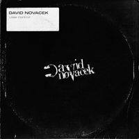 David Novacek - Lose Control
