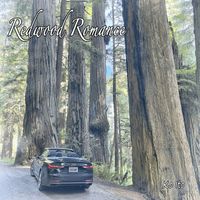 Ko Ito - Redwood Romance