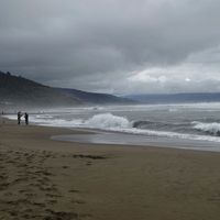 Felipe - Beach Playa