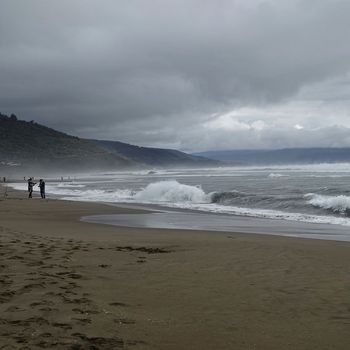 Felipe - Beach Playa