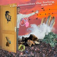UNQUIET MUSIC LTD - I Do Remember the Feeling (Meadow Mix)