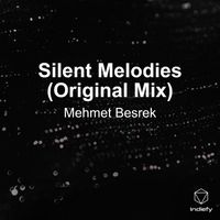 Mehmet Besrek - Silent Melodies (Original Mix)