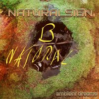 Naturalsign - B Natoral Ambient Dreams