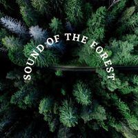Ava - Sound of the Forest (Meditation and Relaxing)