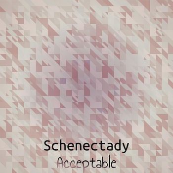 Various Artists - Schenectady Acceptable