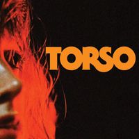 Torso - A Crash Course in Terror (Explicit)