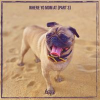 Aziz - Where Yo Mom at, Pt. 3 (Explicit)