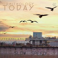 Sternklang - Ornithology Today Vol.4. Issue 1.