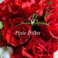 Matt Brown - Pixie Polka