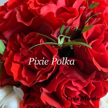 Matt Brown - Pixie Polka