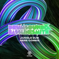 Drumsound & Bassline Smith - Jungle Dub (Here Comes)