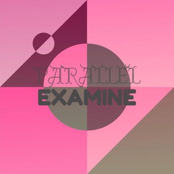 Various Artists - Parallel Examine