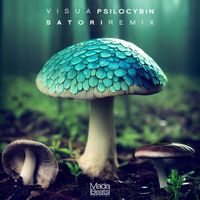 Visua - Psilocybin (Satori Remix)