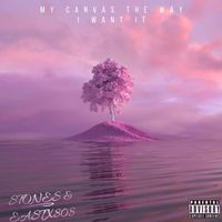 STONES - MY CANVAS THE WAY I WANT IT (Explicit)