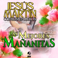 Jesus Martin - Las Mejores Mañanitas (Mariachi)