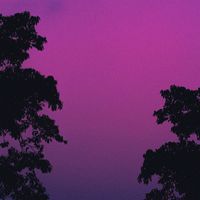 Blake Tree - Fantasia Violascuro