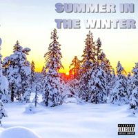 D-Light - Summer In The Winter