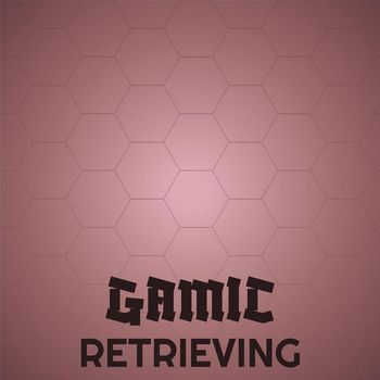 Various Artists - Gamic Retrieving
