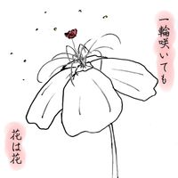 Shun - Even If One Flower Blooms, A Flower Is a Flower
