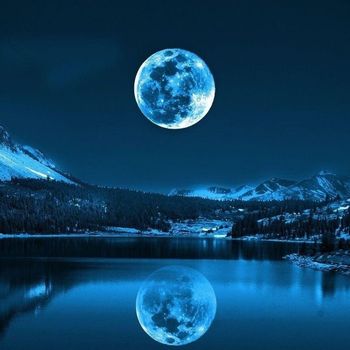 Vigi - Moonlight Shadow