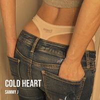 Sammy J - Cold Heart