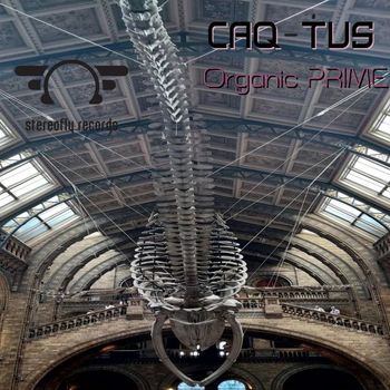 Caq-Tus - Psy Cause