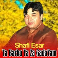 Shafi Esar - Ta Bacha Ya Za Guda Yam