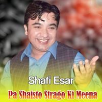 Shafi Esar - Pa Shaisto Strago Ki Meena