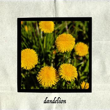 Dandelion - Dandelion