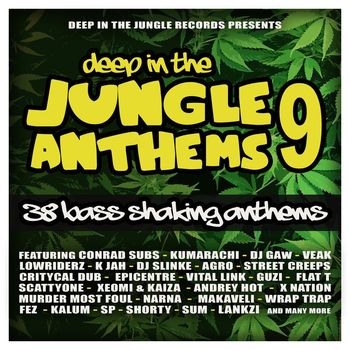 Various Artists - Deep In The Jungle Anthems 9 - The Final Chapter