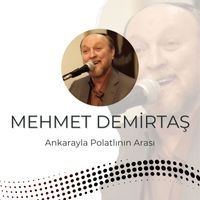 Mehmet Demirtaş - Ankarayla Polatlının Arası