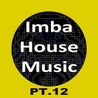 Buben - Imba House Music, Pt. 12