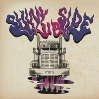 The Dirty Grass Players - Shiny Side Up