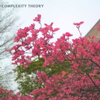 alixi - Complexity Theory
