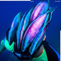 Bleakre - Forming Gills