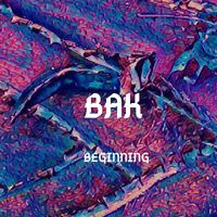 Bak - Beginning