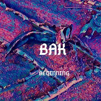 Bak - Beginning