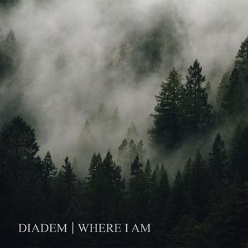 Diadem - Where I Am