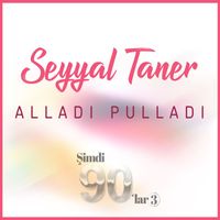 Seyyal Taner - Alladı Pulladı