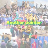FlaP - Another pointer