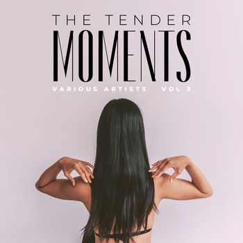 Various Artists - The Tender Moments, Vol. 3