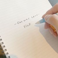 FlaP - -One Way Love-