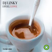 DJ Linky - I Feel Love