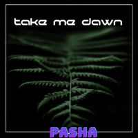 Pasha - Take me dawn