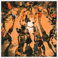 Percy Faith & His Orchestra - On the Dance Floor