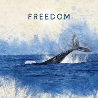 Thomas Fulton - Freedom (Explicit)